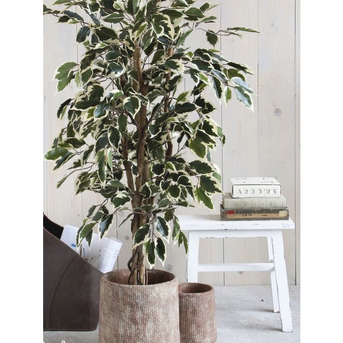 MICA DECORATIONS FICUS ARTIFICIAL PLANT - H110 X Ø70 CM - GREEN VARIEGATED