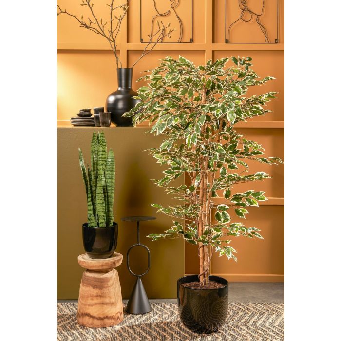 MICA DECORATIONS FICUS ARTIFICIAL PLANT - H170 X Ø80 CM - GREEN VARIEGATED