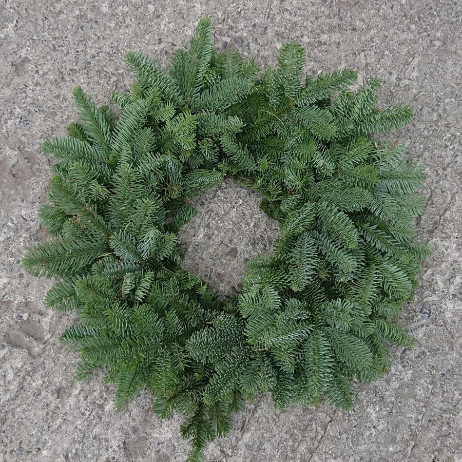 AVAILABLE FOR PRE ORDER Nobilis Wreath - 10”